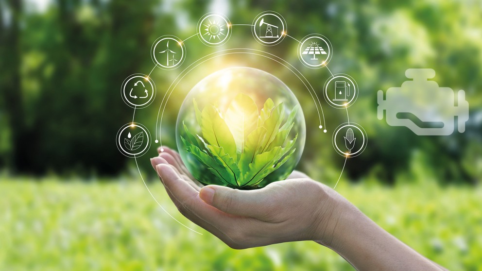 Una mano sostiene una bola de cristal con hojas. Distintos símbolos indican asuntos ambientales.