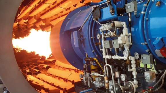 Burner with flame on the test rig